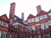 OLYMPUS DIGITAL CAMERA