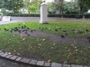 <SAMSUNG DIGITAL CAMERA>