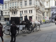 <SAMSUNG DIGITAL CAMERA>