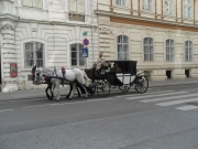 <SAMSUNG DIGITAL CAMERA>