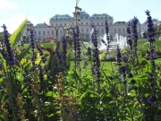 <SAMSUNG DIGITAL CAMERA>